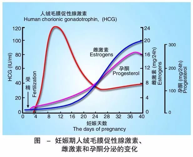 懷孕期間HCG低怎么辦？